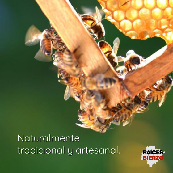 Miel de Roble – Raíces del Bierzo